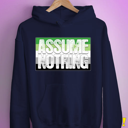 Assume Nothing Aromantic Pride Flag Hoodie - Navy